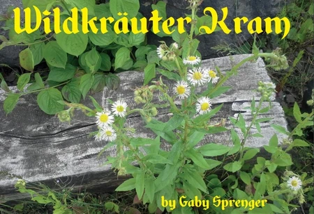 Wildkräuter Kram_Gaby Sprenger.jpg