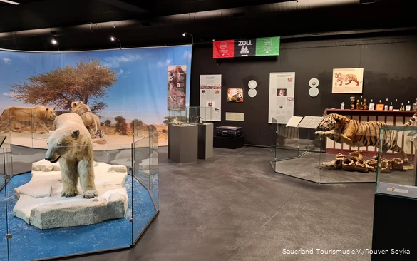 Ein Ausstellungsraum mit vielen Exponaten im Galileo Park.