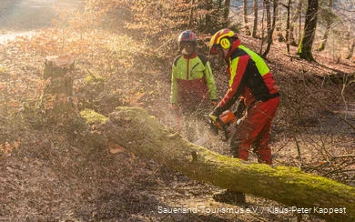 Zwei Mitarbeiter des Landesbetriebs Wald und Holz NRW zersägen einen umgestürzten Baum.