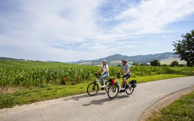 Ein Radfahrerpaar fährt auf dem Radweg durch grüne Felder.