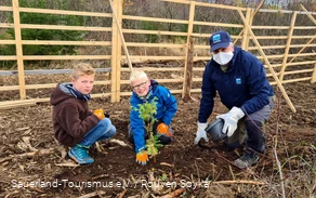 Gemeinsam mit Dirk Zimmermann vom Naturpark pflanzen die Schüler der Kath. Grundschule Hallenberg behutsam die Setzlinge in den Boden.