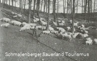 Schweinehüten bei Hallenberg. 