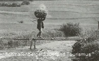 Geschnittenes Stroh wird auf dem Kopf über den Steg getragen, 1934 bei Altenhundem. 